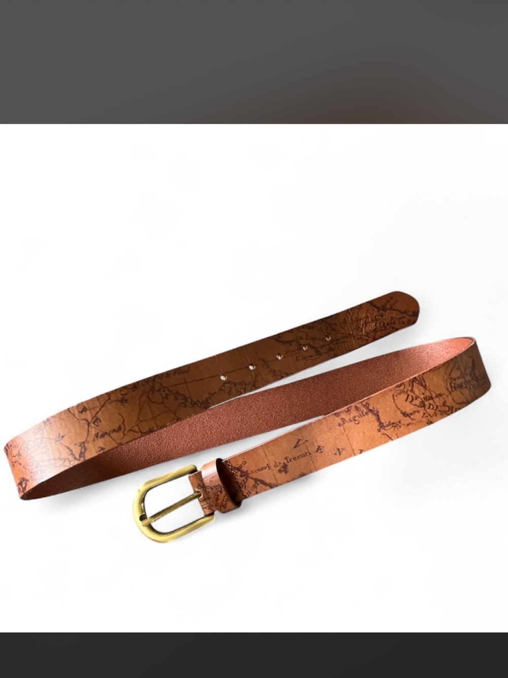 Patricia Nash Brown Leather Map-Print womens Belt with Brass Buckle